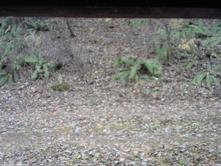 長野県菅平高原 ゆたか山荘 南側 2025/11/13 14:15