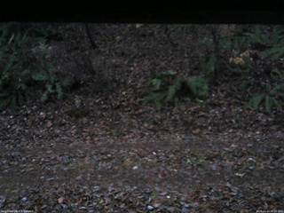 長野県菅平高原 ゆたか山荘 南側 2025/11/14 06:15