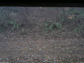 長野県菅平高原 ゆたか山荘 南側 2025/11/14 06:30