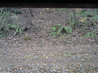 長野県菅平高原 ゆたか山荘 南側 2025/11/14 06:45