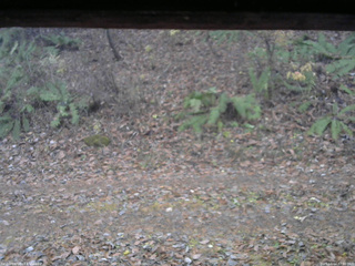 長野県菅平高原 ゆたか山荘 南側 2025/11/14 07:00