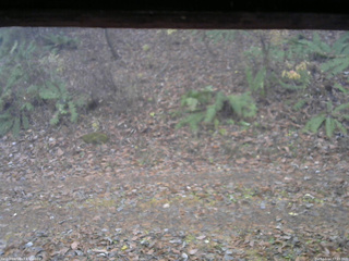 長野県菅平高原 ゆたか山荘 南側 2025/11/14 07:15