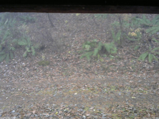 長野県菅平高原 ゆたか山荘 南側 2025/11/14 07:30