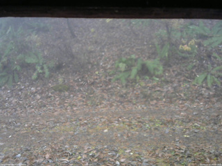 長野県菅平高原 ゆたか山荘 南側 2025/11/14 08:00