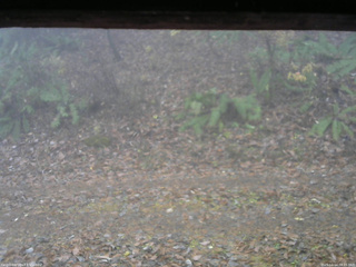 長野県菅平高原 ゆたか山荘 南側 2025/11/14 08:15