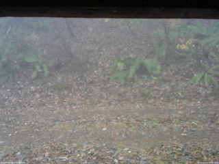 長野県菅平高原 ゆたか山荘 南側 2025/11/14 08:30