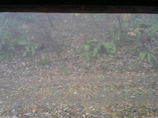 長野県菅平高原 ゆたか山荘 南側 2025/11/14 09:15