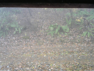 長野県菅平高原 ゆたか山荘 南側 2025/11/14 09:45