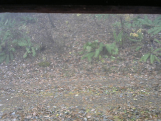 長野県菅平高原 ゆたか山荘 南側 2025/11/14 10:00