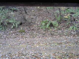 長野県菅平高原 ゆたか山荘 南側 2025/11/14 10:15