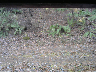 長野県菅平高原 ゆたか山荘 南側 2025/11/14 10:30