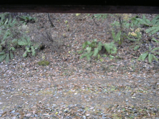 長野県菅平高原 ゆたか山荘 南側 2025/11/14 10:45
