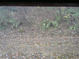 長野県菅平高原 ゆたか山荘 南側 2025/11/14 11:00