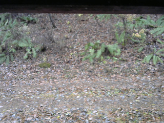 長野県菅平高原 ゆたか山荘 南側 2025/11/14 11:15