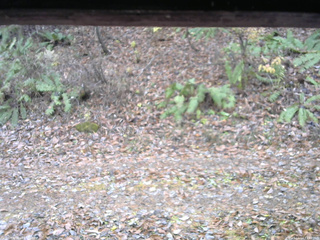 長野県菅平高原 ゆたか山荘 南側 2025/11/14 11:30