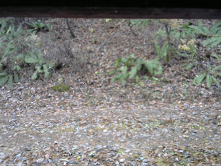 長野県菅平高原 ゆたか山荘 南側 2025/11/14 11:45