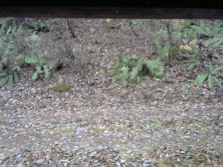 長野県菅平高原 ゆたか山荘 南側 2025/11/14 12:00