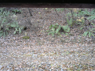 長野県菅平高原 ゆたか山荘 南側 2025/11/14 12:15