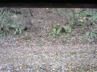長野県菅平高原 ゆたか山荘 南側 2025/11/14 12:30