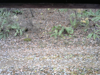 長野県菅平高原 ゆたか山荘 南側 2025/11/14 12:45