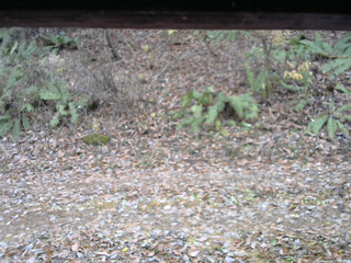 長野県菅平高原 ゆたか山荘 南側 2025/11/14 13:00
