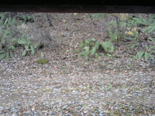 長野県菅平高原 ゆたか山荘 南側 2025/11/14 13:15