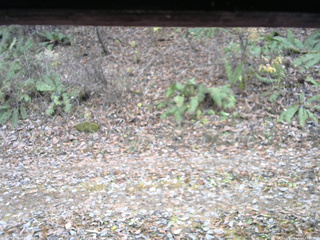 長野県菅平高原 ゆたか山荘 南側 2025/11/14 13:30