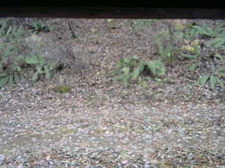 長野県菅平高原 ゆたか山荘 南側 2025/11/14 13:45