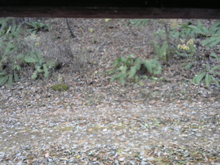 長野県菅平高原 ゆたか山荘 南側 2025/11/14 14:00