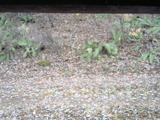長野県菅平高原 ゆたか山荘 南側 2025/11/14 14:15