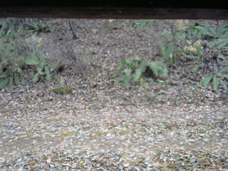 長野県菅平高原 ゆたか山荘 南側 2025/11/14 14:30