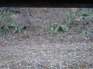 長野県菅平高原 ゆたか山荘 南側 2025/11/14 14:45