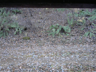 長野県菅平高原 ゆたか山荘 南側 2025/11/14 15:00