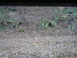 長野県菅平高原 ゆたか山荘 南側 2025/11/14 15:15