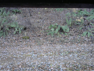 長野県菅平高原 ゆたか山荘 南側 2025/11/14 15:30