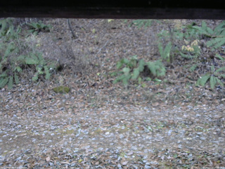 長野県菅平高原 ゆたか山荘 南側 2025/11/14 15:45