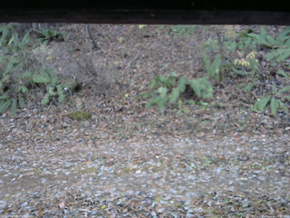 長野県菅平高原 ゆたか山荘 南側 2025/11/14 16:15