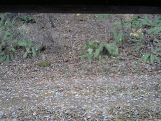 長野県菅平高原 ゆたか山荘 南側 2025/11/14 16:30