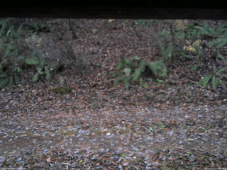 長野県菅平高原 ゆたか山荘 南側 2025/11/14 16:45