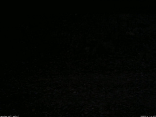 長野県菅平高原 ゆたか山荘 南側 2025/11/14 17:00