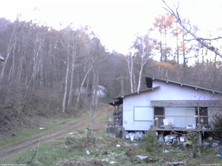 長野県菅平高原 ゆたか山荘 西側(坂上) 2025/11/14 14:45