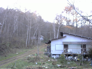 長野県菅平高原 ゆたか山荘 西側(坂上) 2025/11/14 15:15