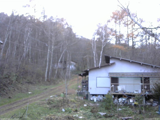 長野県菅平高原 ゆたか山荘 西側(坂上) 2025/11/14 15:30
