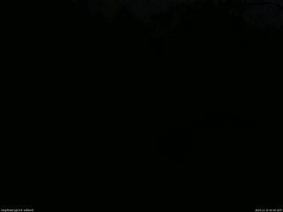 長野県菅平高原 ゆたか山荘 西側(坂上) 2025/11/15 05:45