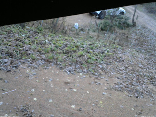 長野県菅平高原 ゆたか山荘 駐車場 2025/11/15 06:45