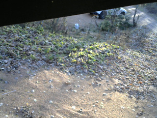 長野県菅平高原 ゆたか山荘 駐車場 2025/11/15 07:15