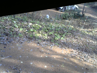 長野県菅平高原 ゆたか山荘 駐車場 2025/11/15 11:45