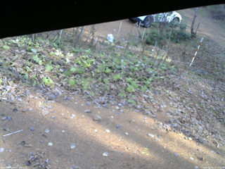 長野県菅平高原 ゆたか山荘 駐車場 2025/11/15 13:15