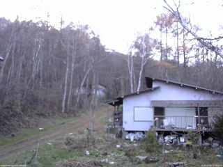 長野県菅平高原 ゆたか山荘 西側(坂上) 2025/11/16 15:30