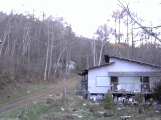 長野県菅平高原 ゆたか山荘 西側(坂上) 2025/11/17 15:30